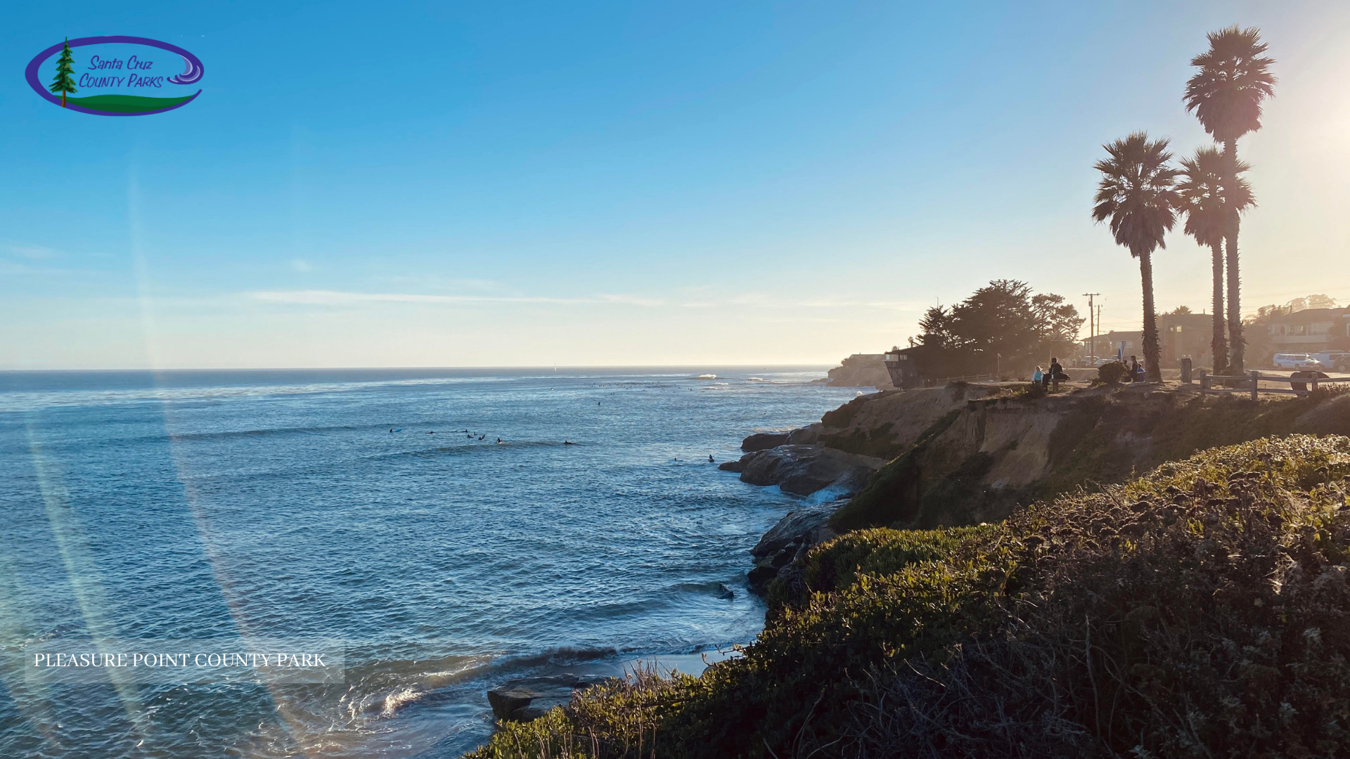 Featured image of post Zoom Backgrounds Santa Cruz How are you traveling to the campground